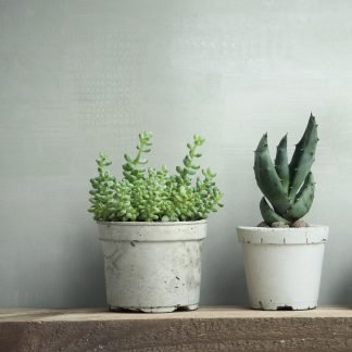 Beton hatású zöld színű vlies tapéta 88997